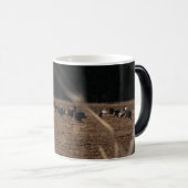 Tasse sauvage de la Turquie (Devant droit)