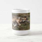 Tasse sauvage de loup "sur course" (Centre)