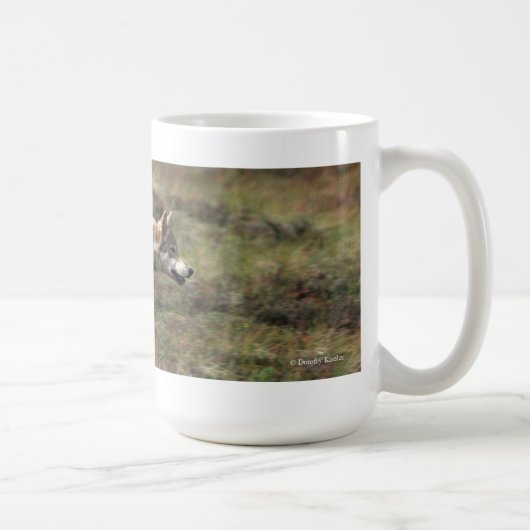 Tasse sauvage de loup "sur course" (Droite)