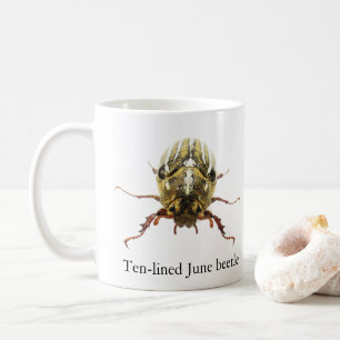 Tasse Scarabée de juin à dix lignes