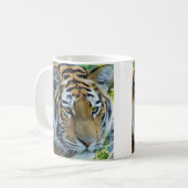 Tasse Siberian Tiger, Amur Tiger (Devant gauche)