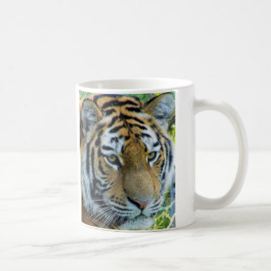 Tasse Siberian Tiger, Amur Tiger
