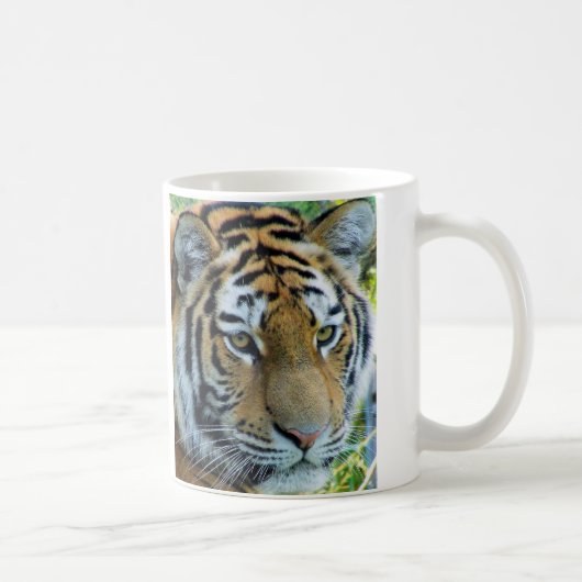Tasse Siberian Tiger, Amur Tiger (Droite)