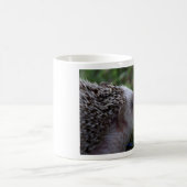 tasse standard de hérisson (Centre)