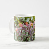 Tasse succulente de jardin (Devant gauche)
