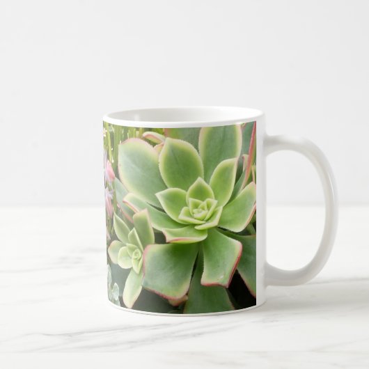 Tasse succulente de jardin (Droite)