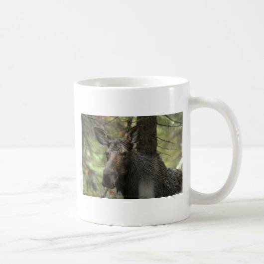 Tasse sylvatique d'orignaux (Droite)