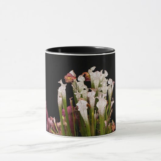 tasse, tasse de café (Centre)