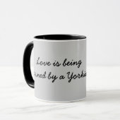 Tasse tellement mignonne de Yorkshire Terrier (Devant gauche)