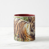 Tasse Tigre de Sumatra (Centre)