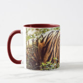 Tasse Tigre de Sumatra (Gauche)