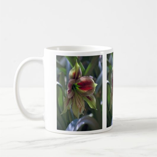 Tasse verte de lis… (Gauche)