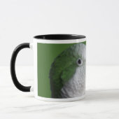 Tasse verte de perroquet de quaker (Gauche)
