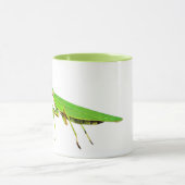 Tasse verte géante de basket-ball de mante de (Centre)