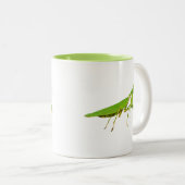 Tasse verte géante de mante de prière (Devant droit)