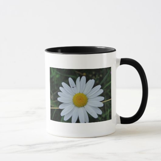 Tasse weisse Margeritenblüte (Droite)