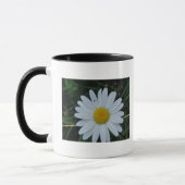 Tasse weisse Margeritenblüte (Gauche)