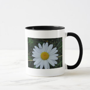 Tasse weisse Margeritenblüte Mok