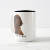 Tasses Brown et plus de chiot de Terre-Neuve (Devant gauche)