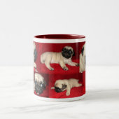 Tasses de carlin (Centre)