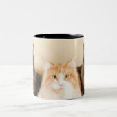 Tasses de chat de ragondin du Maine (Centre)