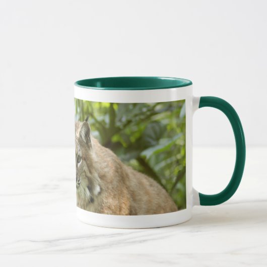 Tasses de chat sauvage (Droite)