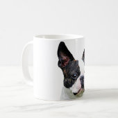 Tasses de conception "de terrier de Boston" (Devant gauche)