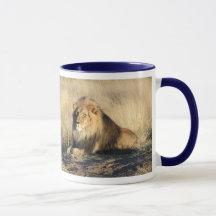 Tasses de lion