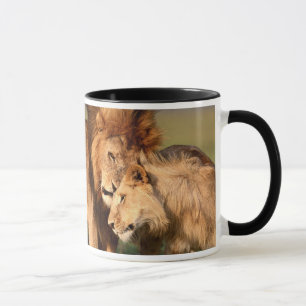 Tasses de lion
