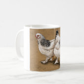 Tasses de poulet de Brahma (Devant gauche)