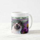 Tasses de Ragdoll (Devant droit)