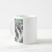 Tasses de raton laveur (Devant gauche)