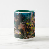 Tasses de récif coralien (Centre)