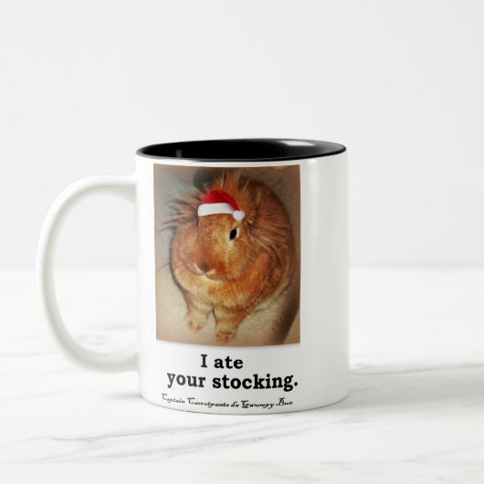 Tasses désapprobatrices de ton du lapin deux (Gauche)