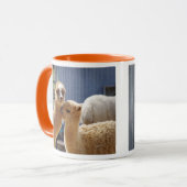Tasses mignonnes d'alpaga (Devant gauche)