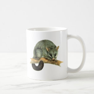 Tasses - opossum cooroy