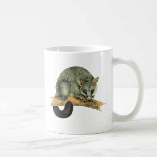 Tasses - opossum cooroy (Droite)