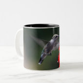 Tasses orientées d'oiseau de ronflement (Devant gauche)