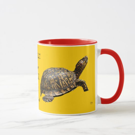 Tasses persistantes de tortue (Droite)