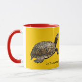 Tasses persistantes de tortue (Gauche)