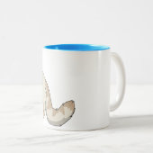 Tasses siamoises de point de flamme (Devant droit)