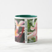 Tasses tropicales hawaïennes de Plumeria et de (Centre)