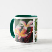 Tasses tropicales hawaïennes de Plumeria et de (Devant gauche)