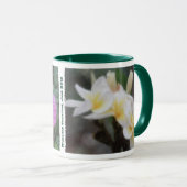 Tasses tropicales hawaïennes de Plumeria et de (Devant droit)