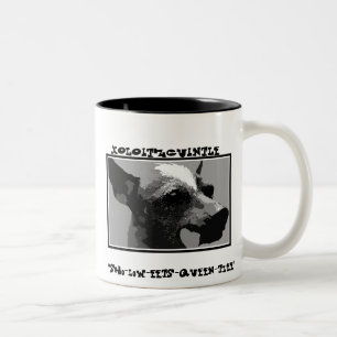 Tasses Xolo…