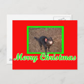 Tassie Devil Briefkaart (Voorkant / Achterkant)