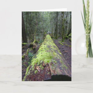 Tassie Tree Kaart