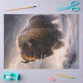 Tatanka Tissuepapier (Craft)