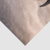 Tatanka Tissuepapier (Detail)