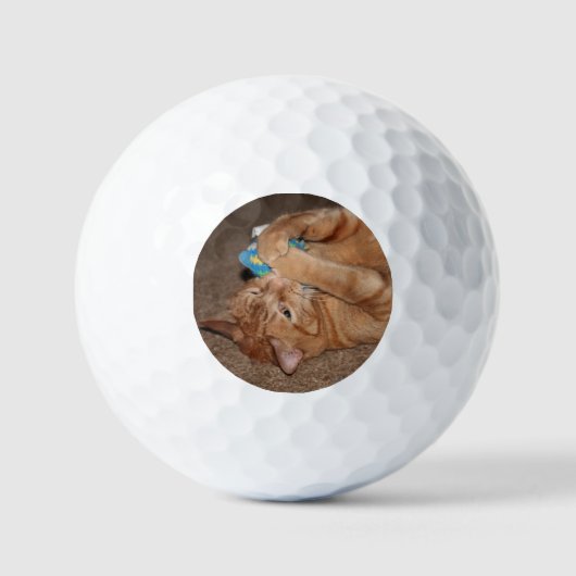 Tater Golfballen (Voorkant)